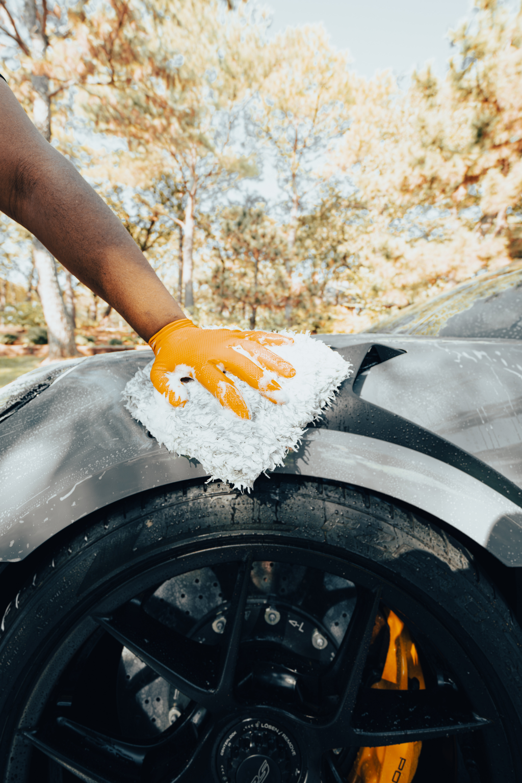 Blackline wash mitt
