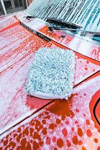 Blackline wash mitt